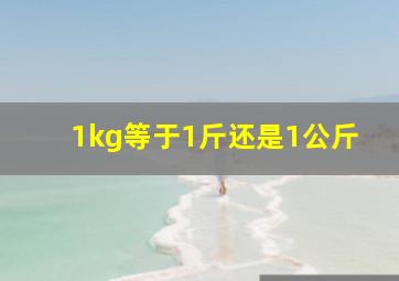 1kg等于1斤还是1公斤