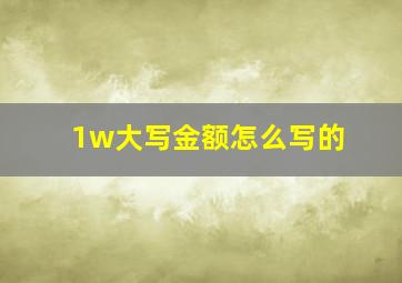 1w大写金额怎么写的