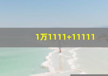 1万1111+11111