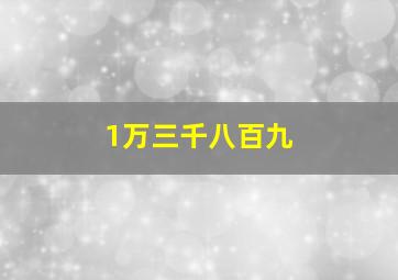 1万三千八百九