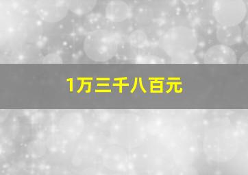 1万三千八百元