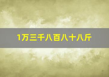 1万三千八百八十八斤