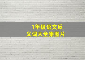 1年级语文反义词大全集图片