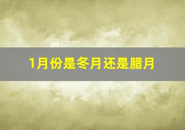 1月份是冬月还是腊月