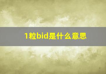 1粒bid是什么意思