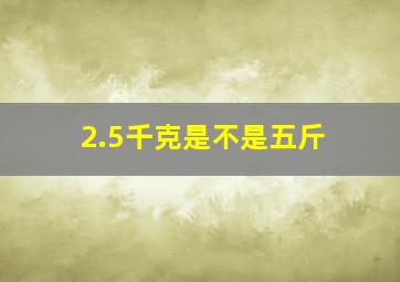 2.5千克是不是五斤