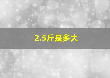 2.5斤是多大