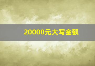 20000元大写金额