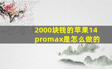 2000块钱的苹果14promax是怎么做的