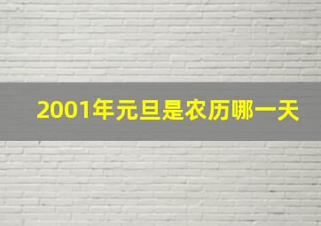 2001年元旦是农历哪一天