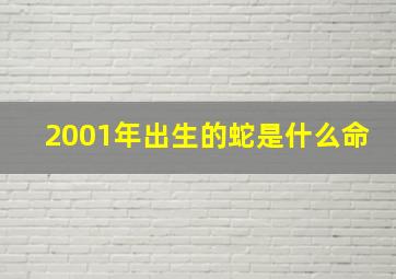 2001年出生的蛇是什么命