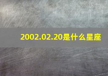 2002.02.20是什么星座