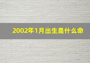 2002年1月出生是什么命