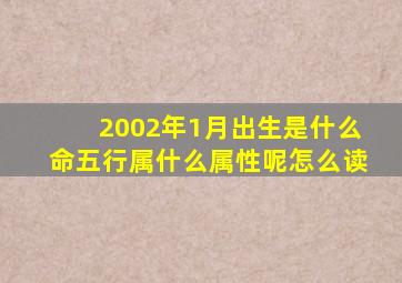 2002年1月出生是什么命五行属什么属性呢怎么读