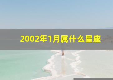 2002年1月属什么星座