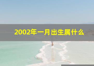 2002年一月出生属什么