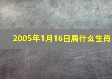 2005年1月16日属什么生肖