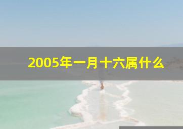 2005年一月十六属什么