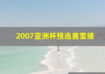 2007亚洲杯预选赛雪缘