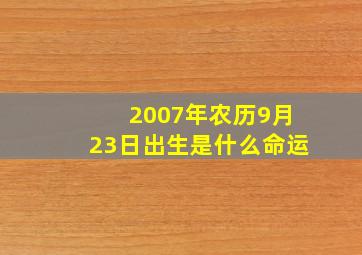 2007年农历9月23日出生是什么命运