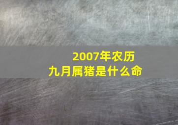 2007年农历九月属猪是什么命