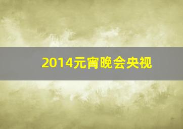 2014元宵晚会央视