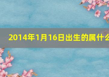 2014年1月16日出生的属什么