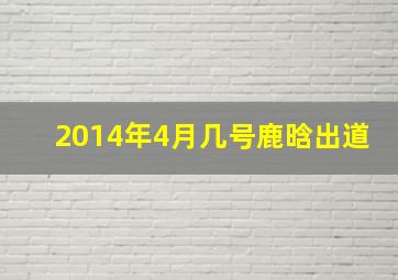 2014年4月几号鹿晗出道