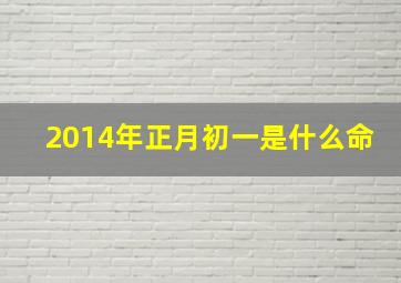 2014年正月初一是什么命