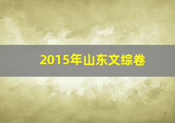 2015年山东文综卷