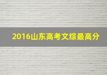 2016山东高考文综最高分