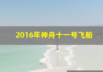 2016年神舟十一号飞船