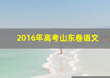 2016年高考山东卷语文