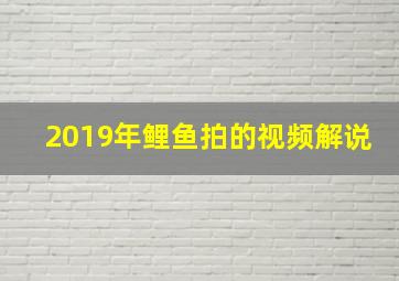 2019年鲤鱼拍的视频解说