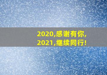 2020,感谢有你,2021,继续同行!