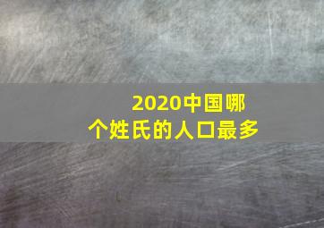 2020中国哪个姓氏的人口最多