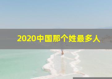 2020中国那个姓最多人