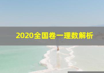 2020全国卷一理数解析