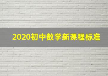 2020初中数学新课程标准