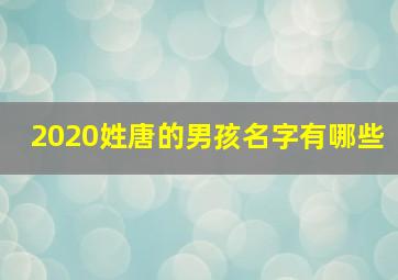 2020姓唐的男孩名字有哪些