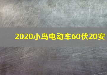 2020小鸟电动车60伏20安