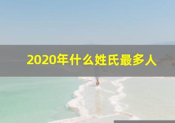 2020年什么姓氏最多人