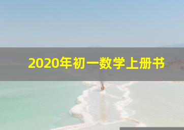 2020年初一数学上册书