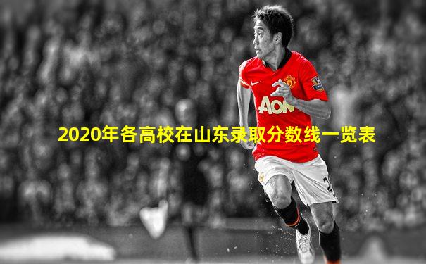 2020年各高校在山东录取分数线一览表