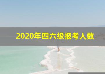 2020年四六级报考人数