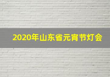 2020年山东省元宵节灯会