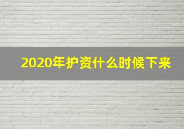 2020年护资什么时候下来