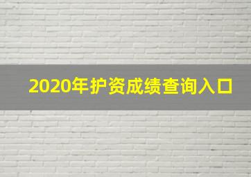 2020年护资成绩查询入口