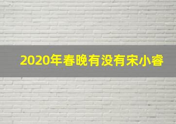 2020年春晚有没有宋小睿