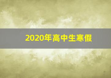 2020年高中生寒假